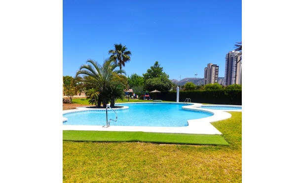Apartamento / piso - Reventa - Benidorm - Zona de Poniente