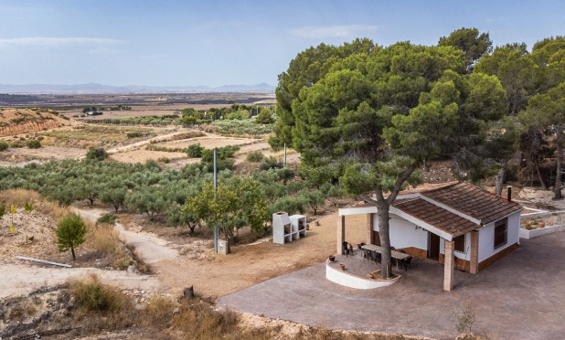 Apartamento / piso - Reventa - LA TERCIA - La Tercia