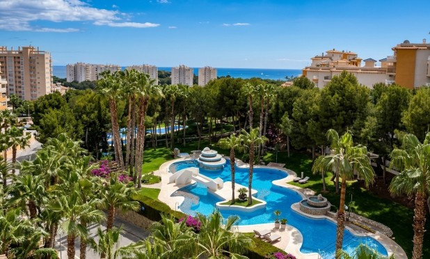 Apartamento / piso - Reventa - Orihuela Costa - Dehesa de campoamor