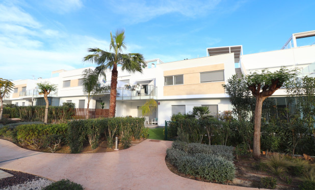 Apartment / flat - Resale - Los Montesinos - Entre Naranjos / Vistabella Golf