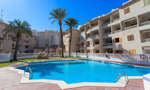 Apartment / flat - Short Term Rental - Torrevieja - REN-012-S
