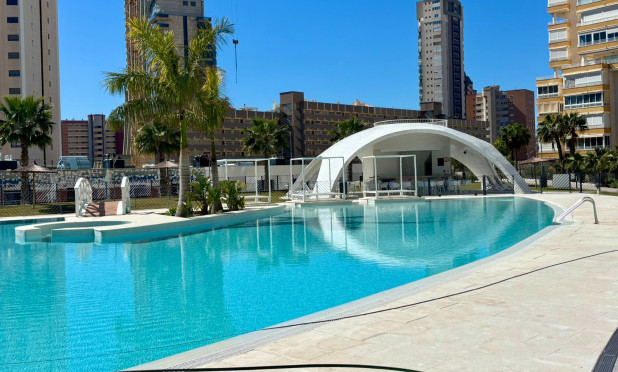 Appartement / flat - Herverkoop - Benidorm - Zona de Poniente
