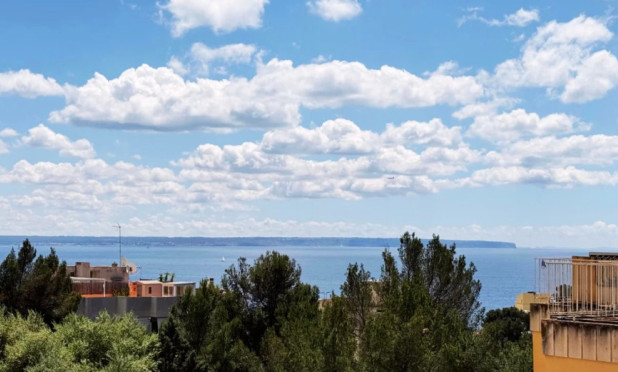 Appartement / flat - Herverkoop - Palma - Sant Agustí