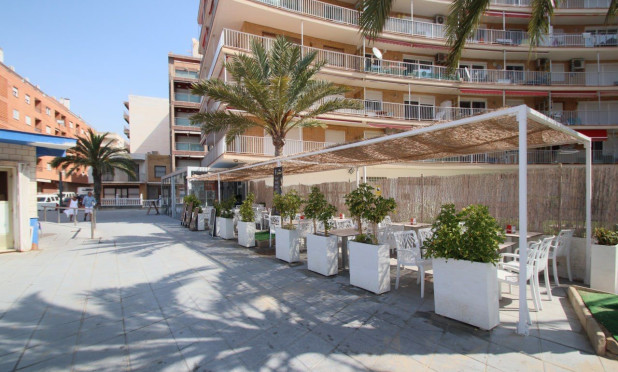 Appartement / flat - Herverkoop - Torrevieja - C-16101