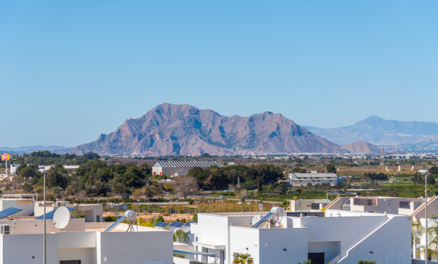 Appartement - Nouvelle construction - Benijofar - Benijofar