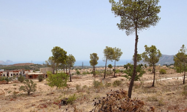 Comercial - Reventa - Benidorm - C-43496