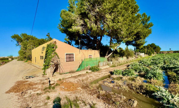 Finca / Casa de Campo - Reventa - Guardamar del Segura - C-60504