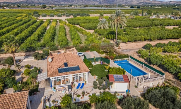 Finca / Country Property - Herverkoop - Albatera - Albatera