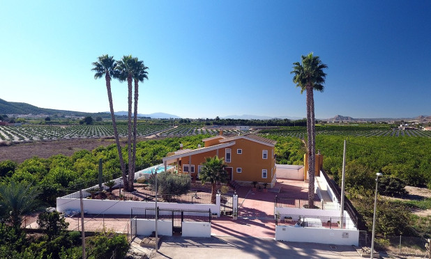 Finca / Country Property - Herverkoop - Orihuela - Orihuela