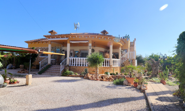 Finca / Country Property - Reventa - Catral - Catral