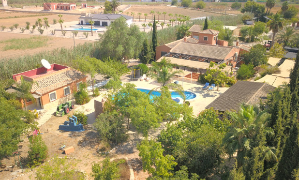 Finca / Country Property - Reventa - Catral - Catral