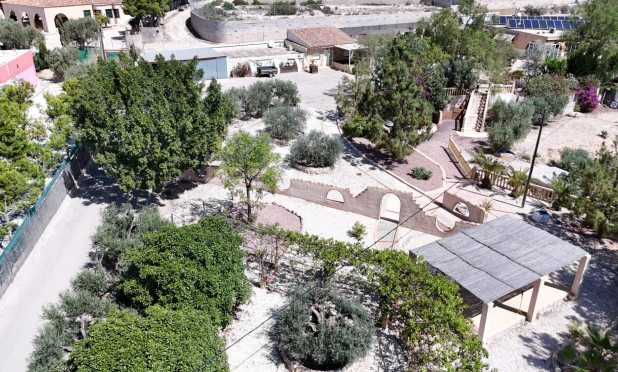 Finca / Nieruchomość wiejska - Odsprzedaż - Crevillente - Crevillente