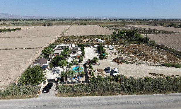 Finca / Nieruchomość wiejska - Odsprzedaż - La Marina - Elche / Elx