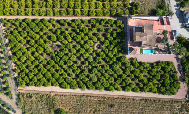 Finca / Nieruchomość wiejska - Odsprzedaż - Orihuela - Orihuela