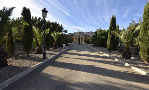 Finca / Propriété rurale - Revente - La Matanza - C-15017