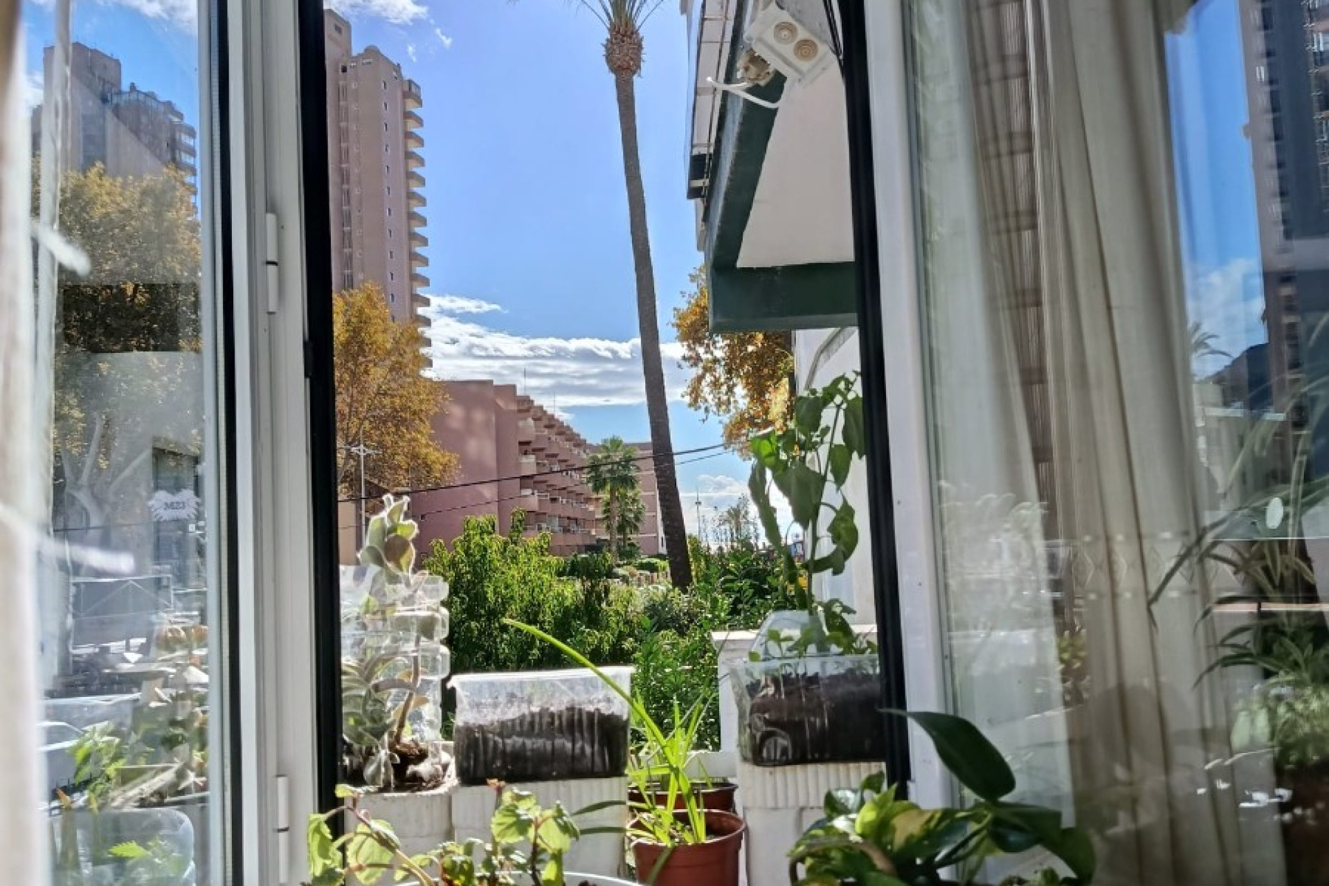 Herverkoop - Appartement / flat - Benidorm - Levante