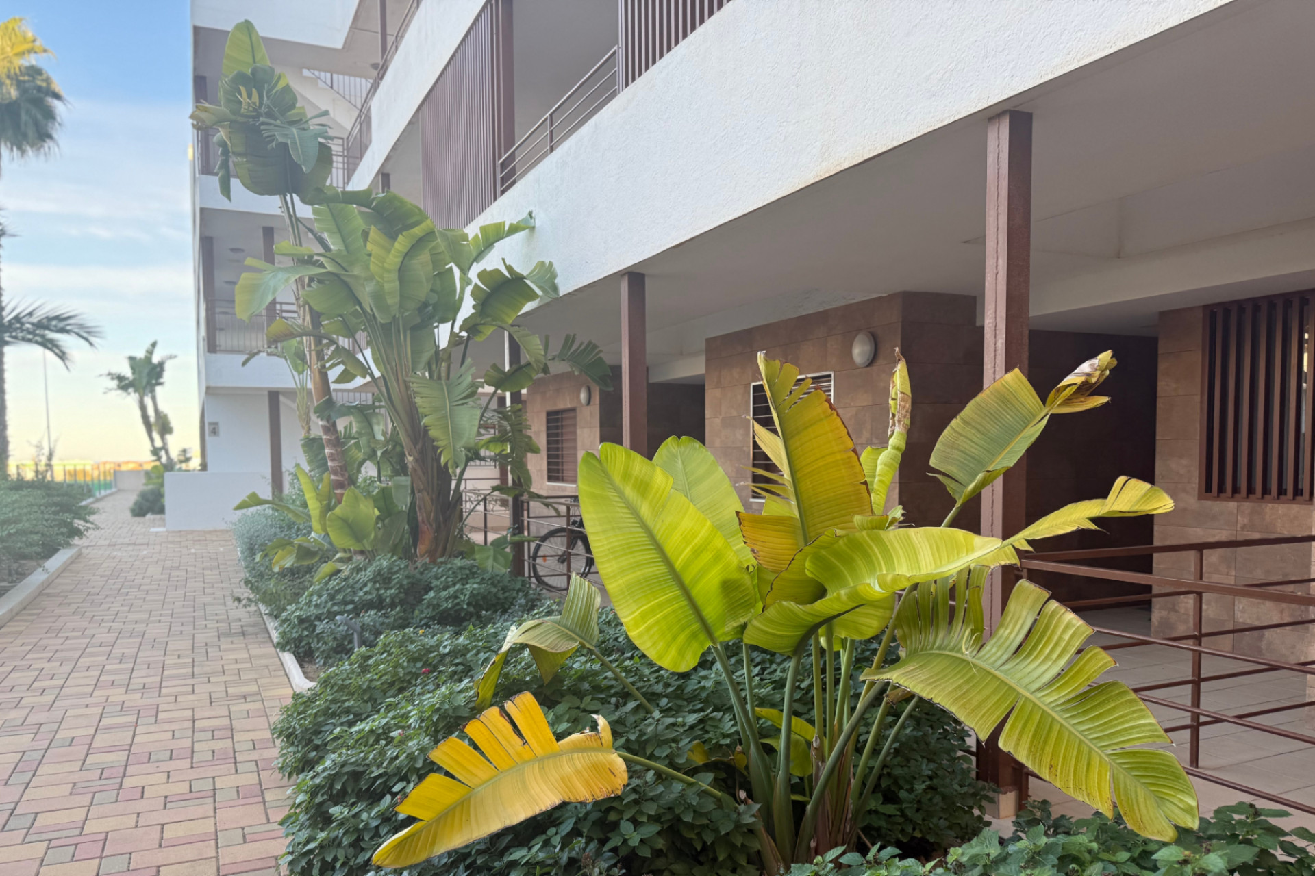 Herverkoop - Appartement / flat - Cabo Roig - Lomas De Cabo Roig