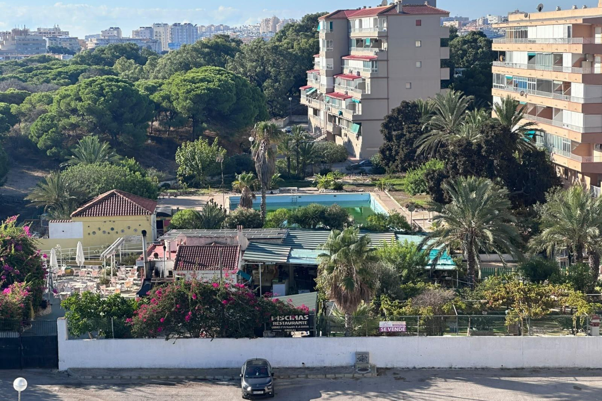 Herverkoop - Appartement / flat - Guardamar del Segura - Lomas de Polo-Pinomar