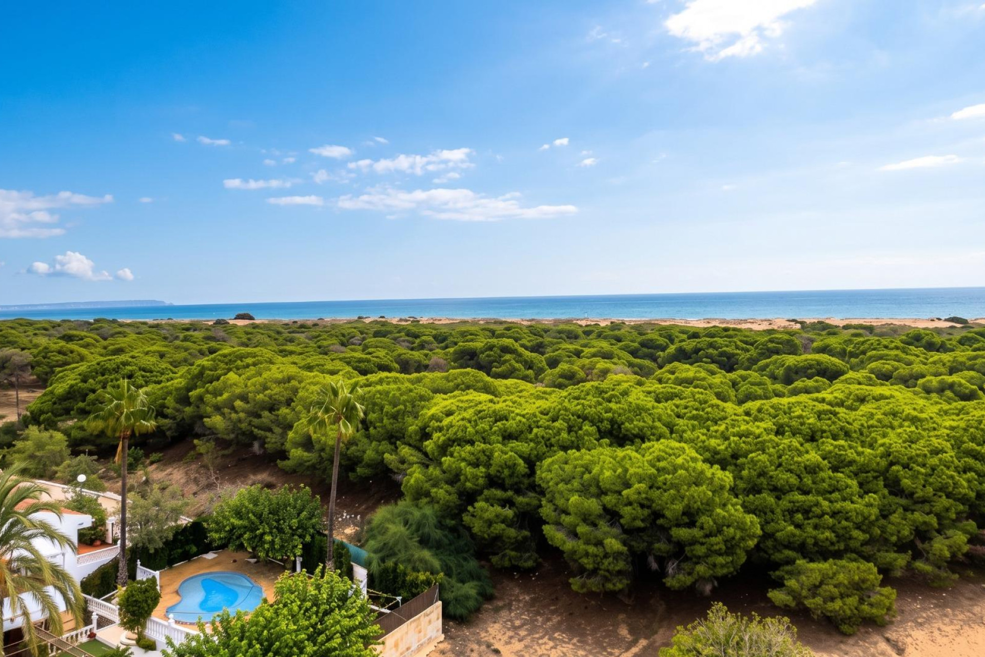 Herverkoop - Appartement / flat - Guardamar del Segura - Lomas de Polo-Pinomar