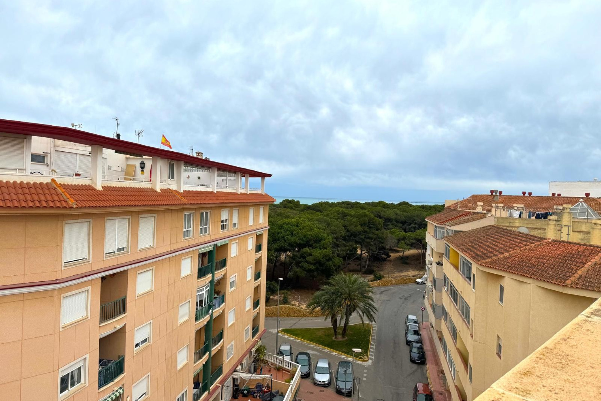 Herverkoop - Appartement / flat - Guardamar del Segura - Pineforest