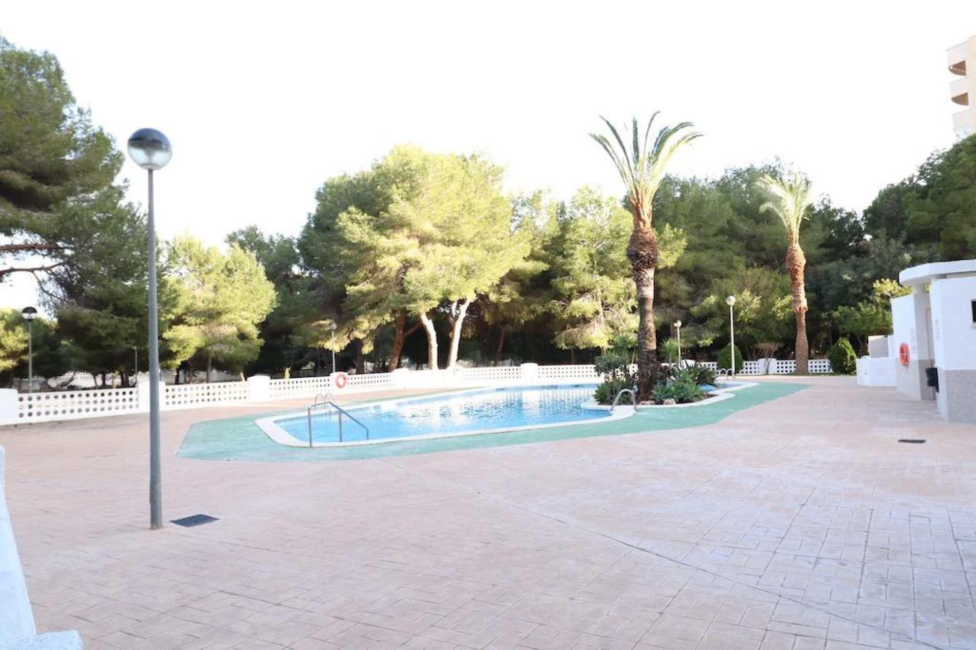 Herverkoop - Appartement / flat - Orihuela Costa - Campoamor