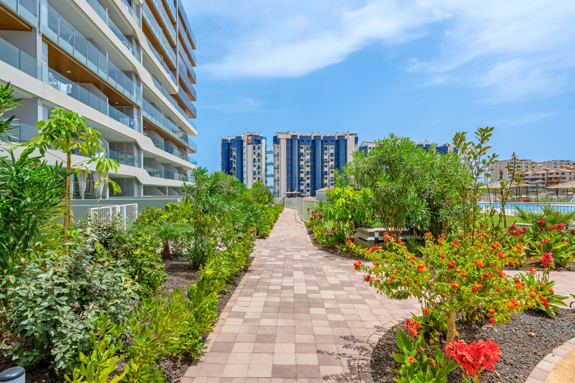 Herverkoop - Appartement / flat - Orihuela Costa - Punta Prima