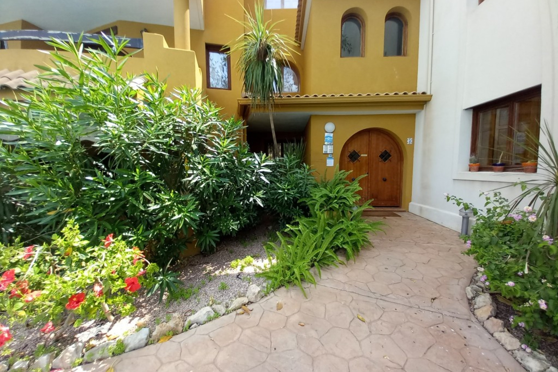 Herverkoop - Appartement / flat - Punta Prima