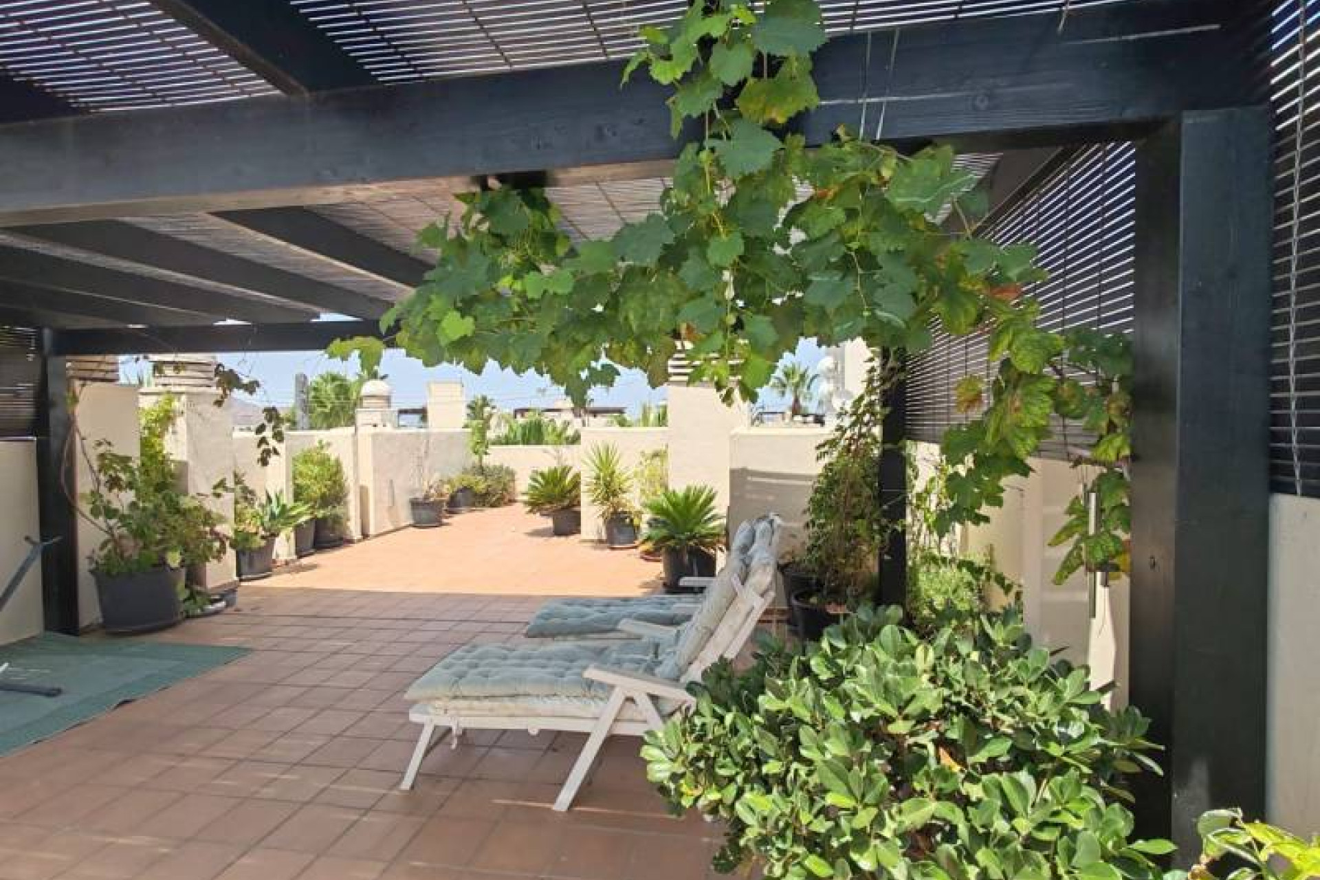 Herverkoop - Appartement / flat - San Javier - Roda