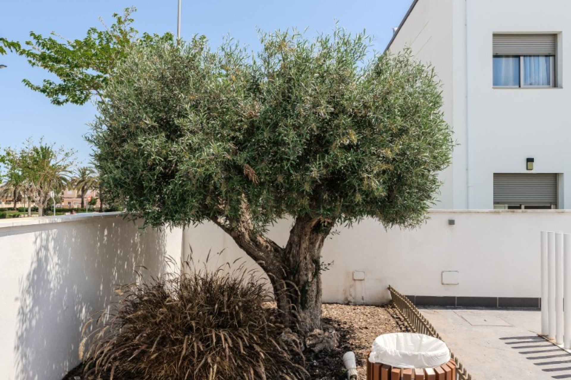 Herverkoop - Appartement / flat - Torre de la Horadada