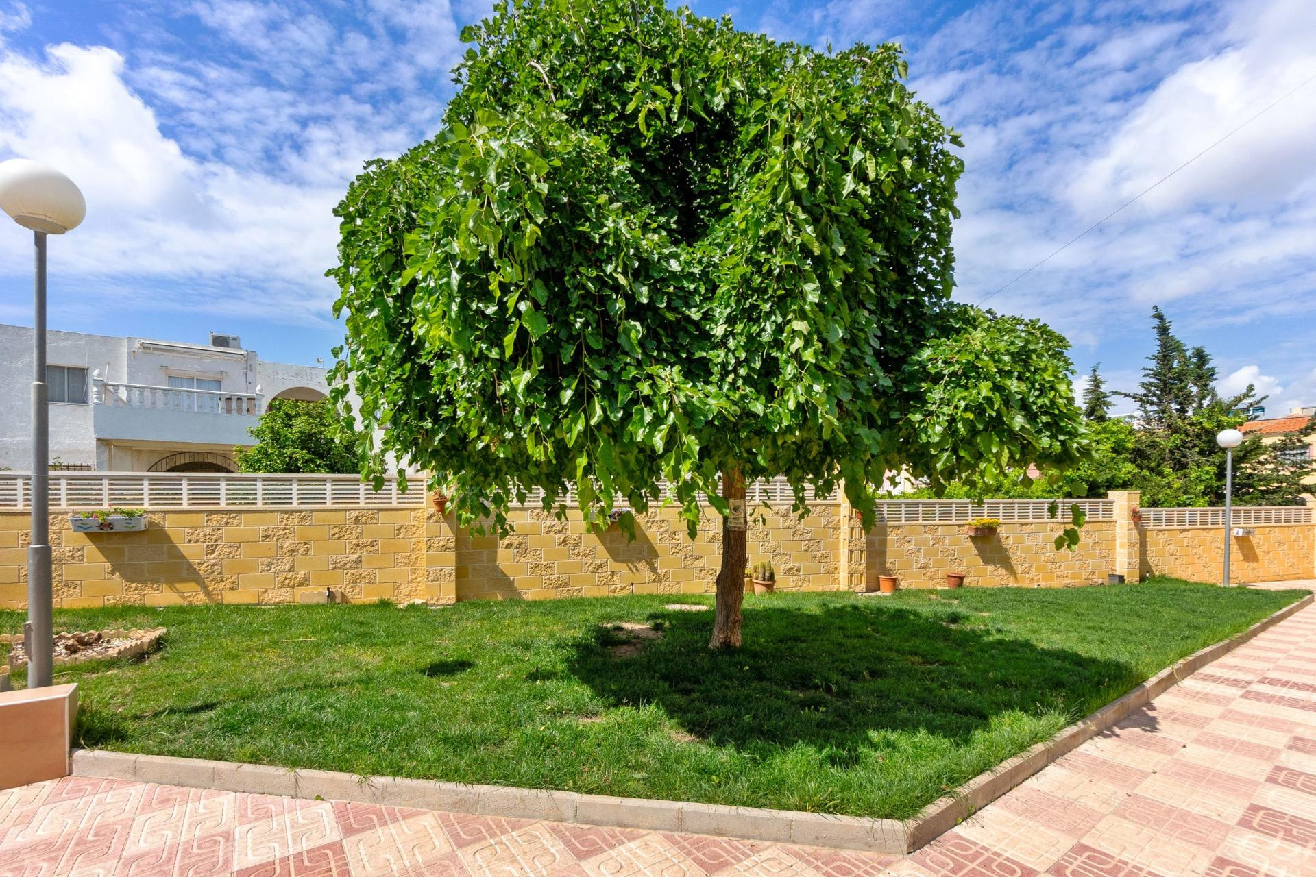 Herverkoop - Appartement / flat - Torrevieja - El chaparral