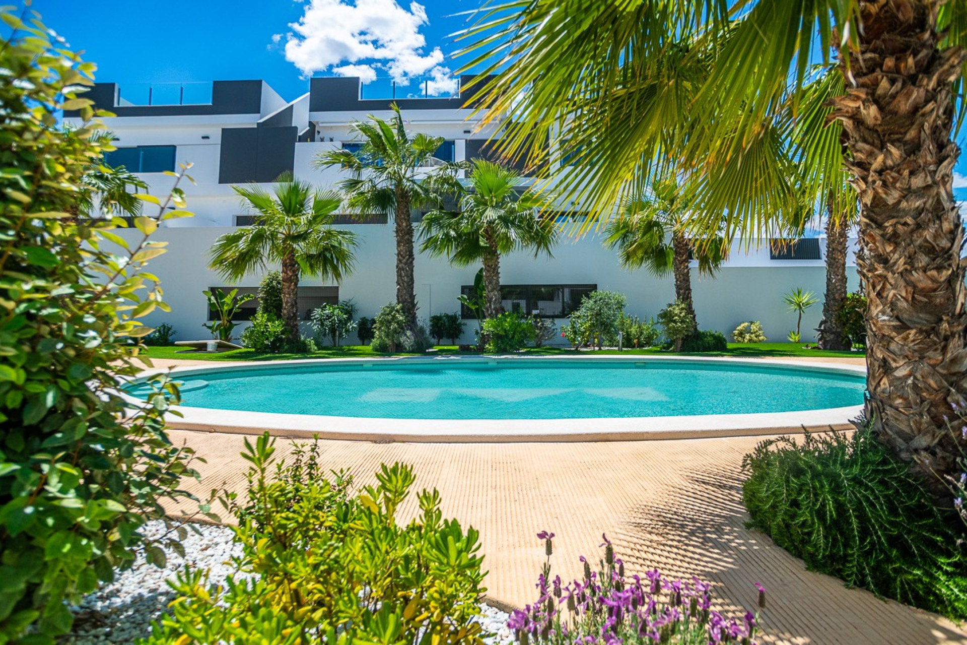 Herverkoop - Appartement / flat - Torrevieja - Los Balcones