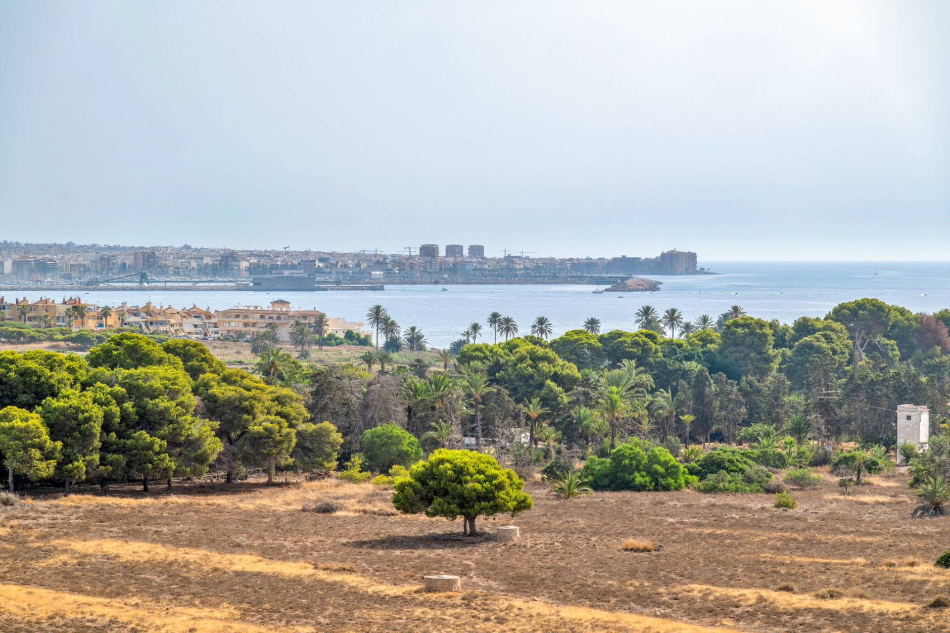 Herverkoop - Appartement / flat - Torrevieja - Punta Prima