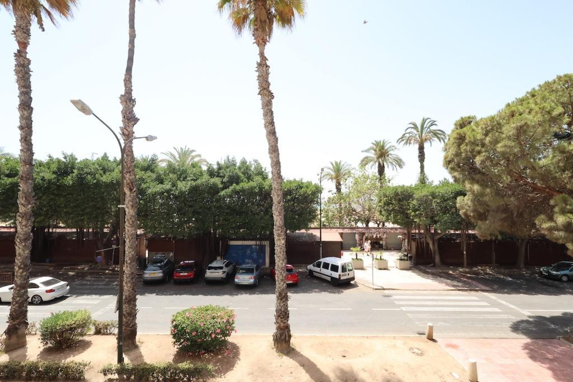 Herverkoop - Appartement / flat - Torrevieja - torrevieja