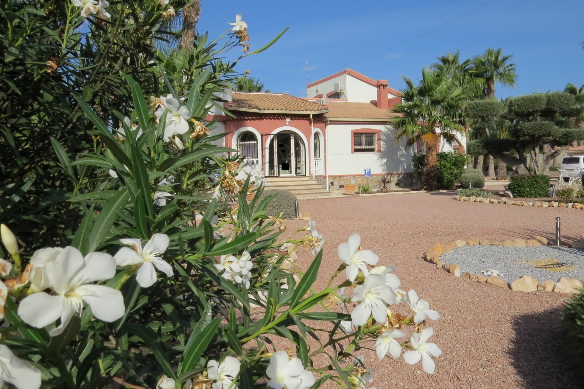 Herverkoop - Finca / Country Property - Guardamar del Segura - Daya Vieja