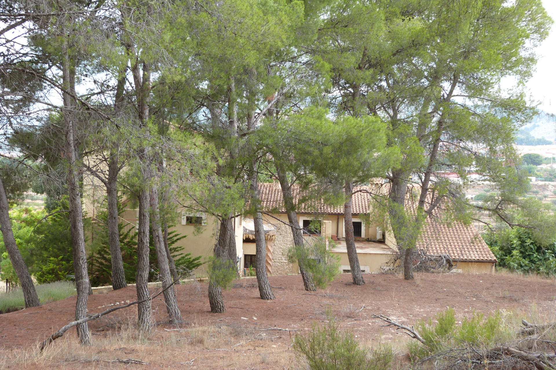 Herverkoop - Finca / Country Property - Ibi - Ibi - Country