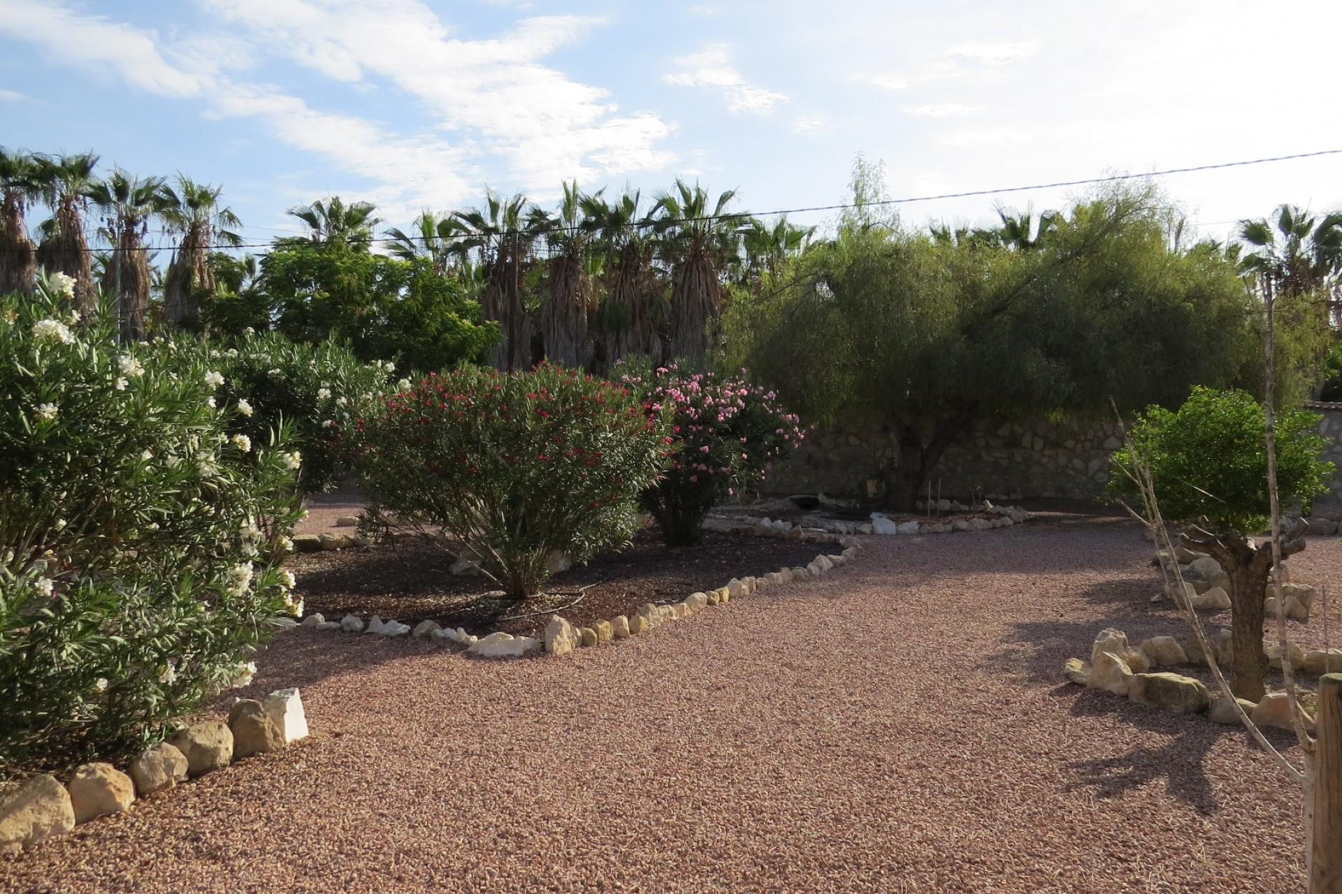 Herverkoop - Finca / Landelijk eigendom - Guardamar del Segura - Daya Vieja