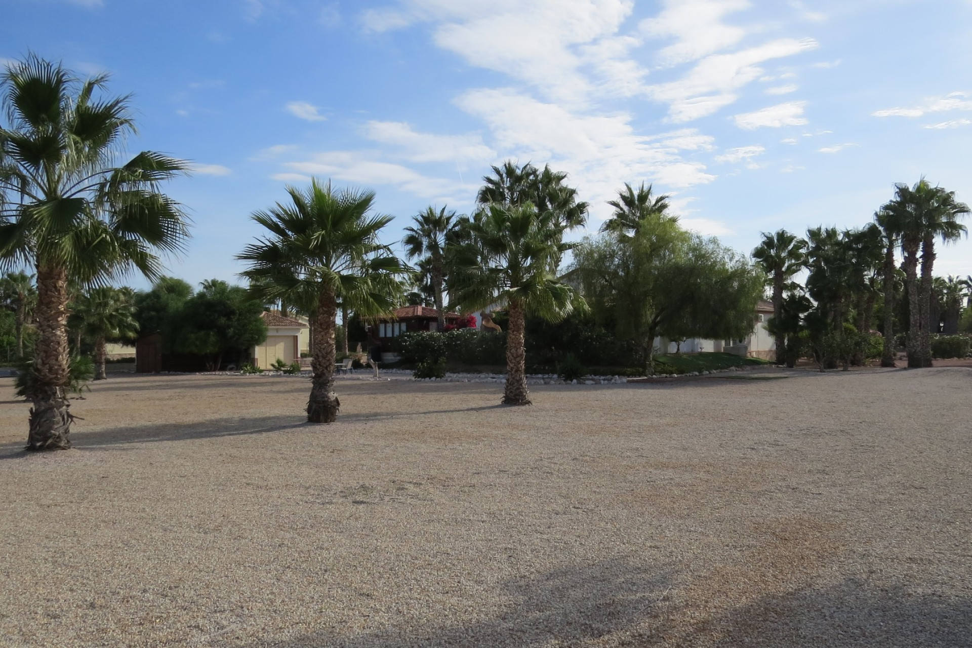 Herverkoop - Finca / Landelijk eigendom - Guardamar del Segura - Daya Vieja