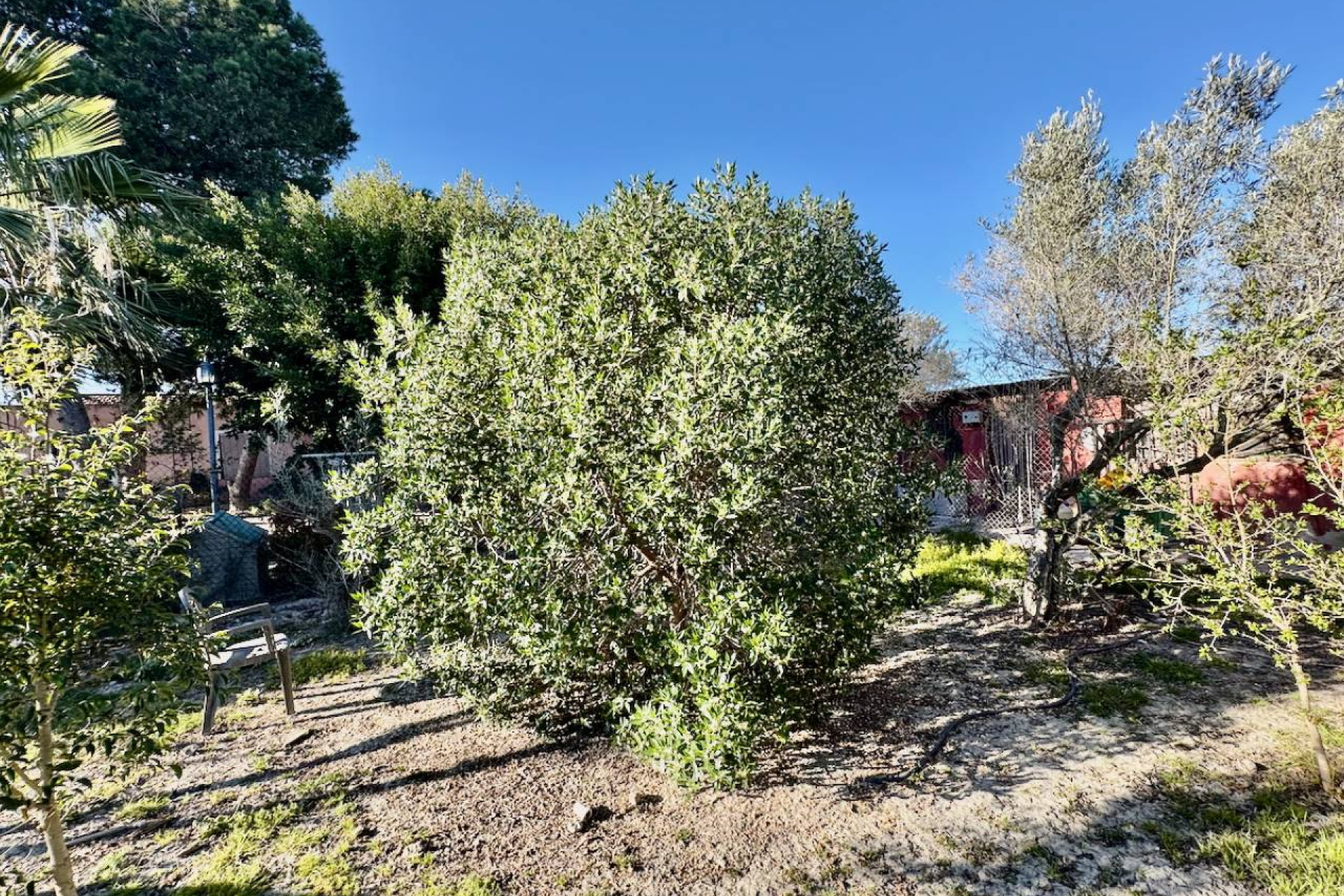 Herverkoop - Finca / Landelijk eigendom - Guardamar del Segura - Guardamar Del Segura