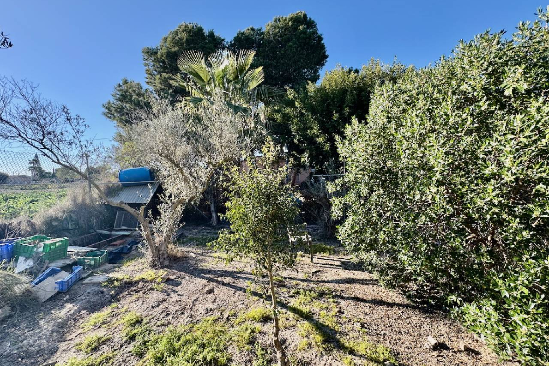 Herverkoop - Finca / Landelijk eigendom - Guardamar del Segura - Guardamar Del Segura