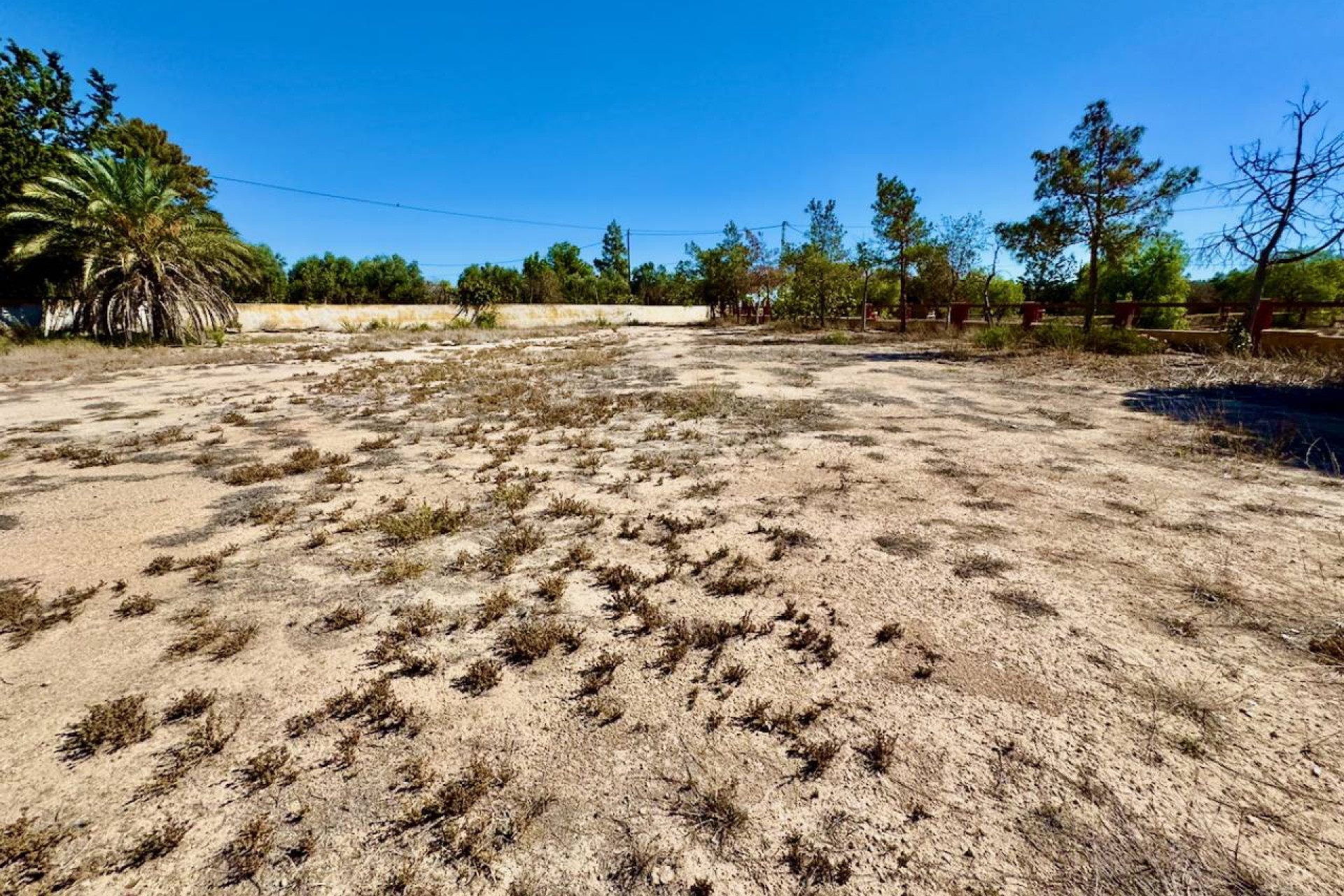 Herverkoop - Finca / Landelijk eigendom - Montesinos - Los Montesinos