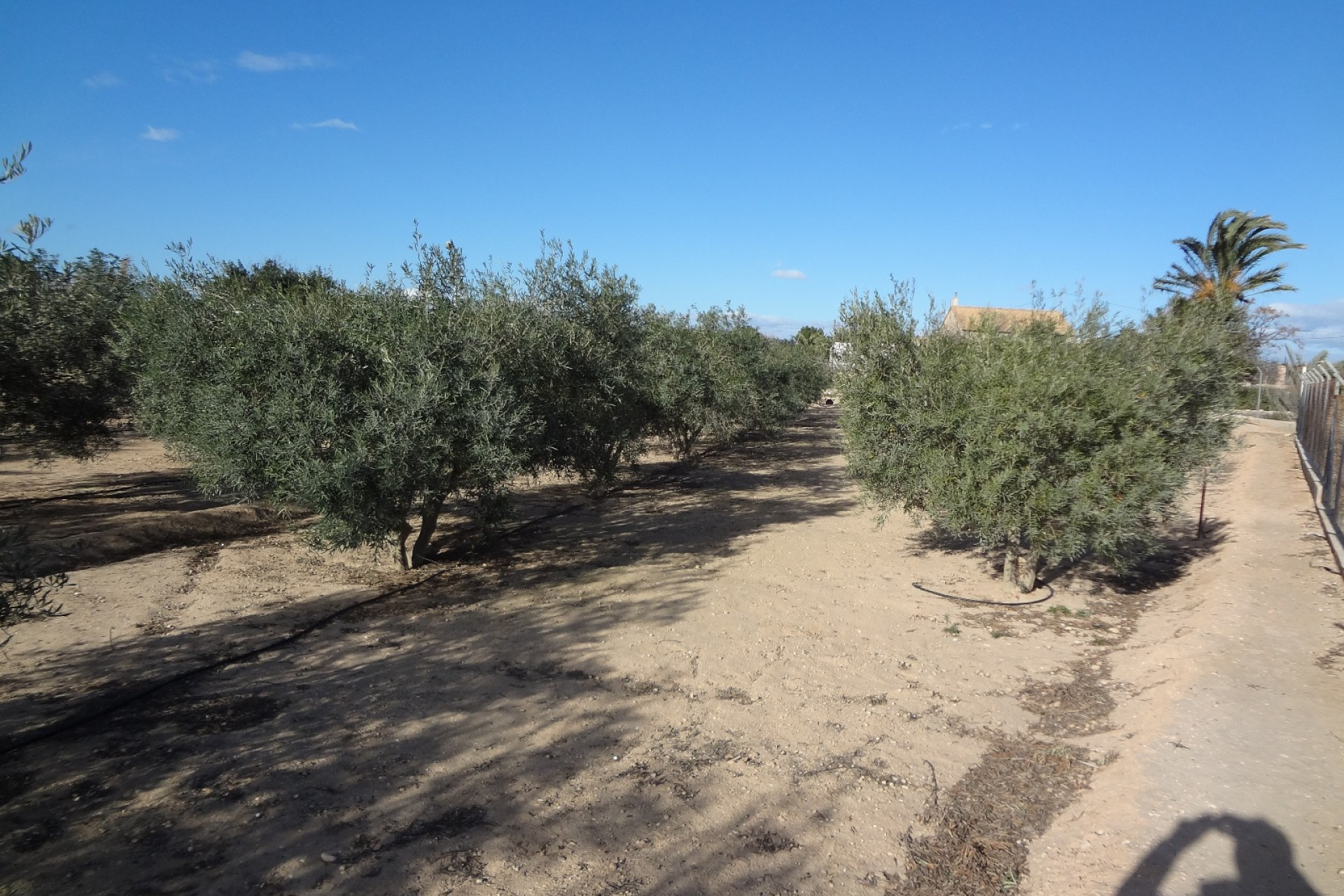 Herverkoop - Finca / Landelijke woning - El Altet