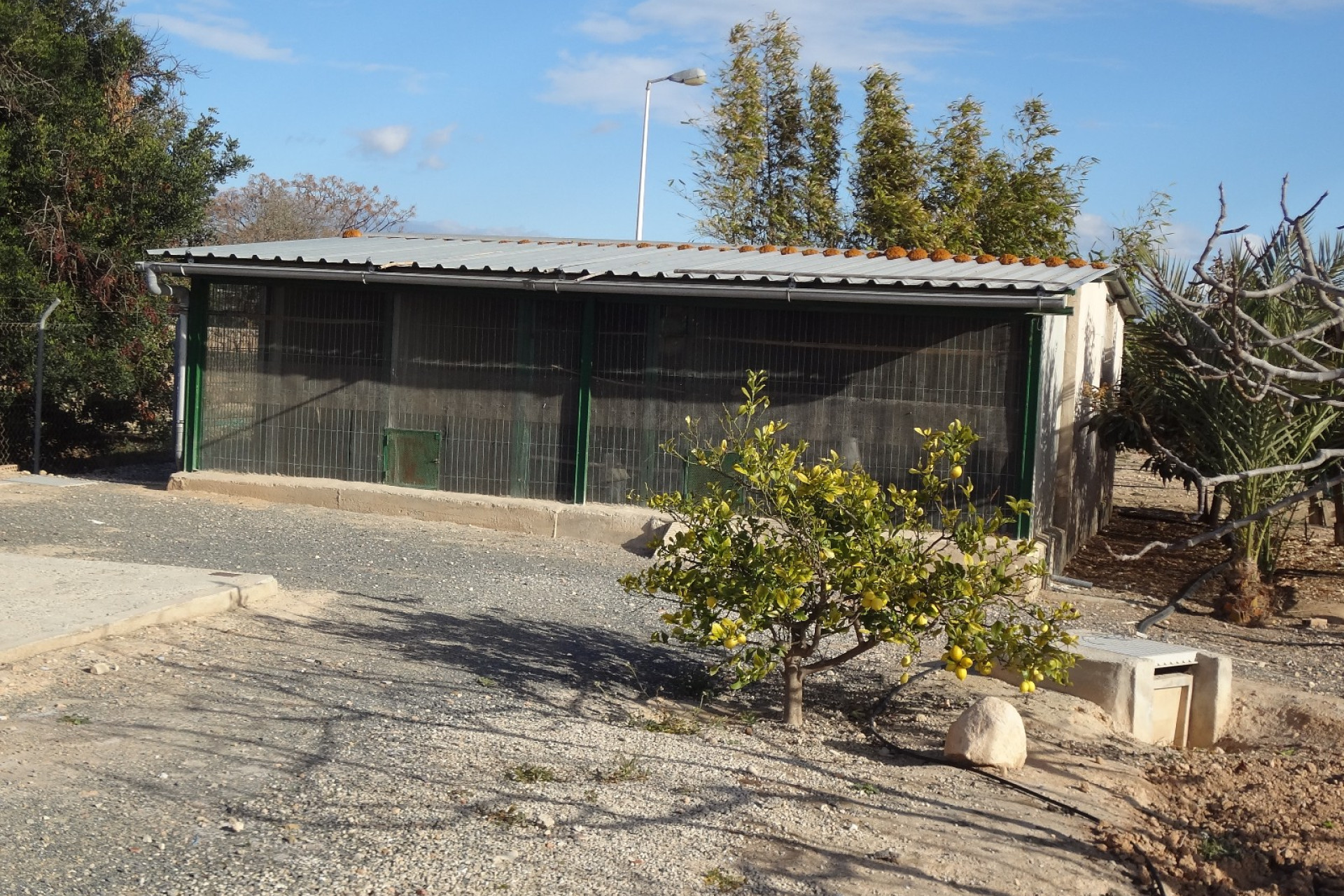 Herverkoop - Finca / Landelijke woning - El Altet