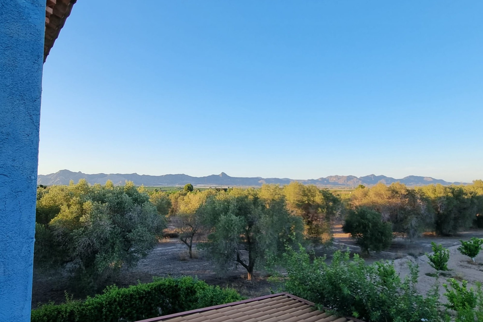 Herverkoop - Finca / Landelijke woning - Orihuela - Benferri