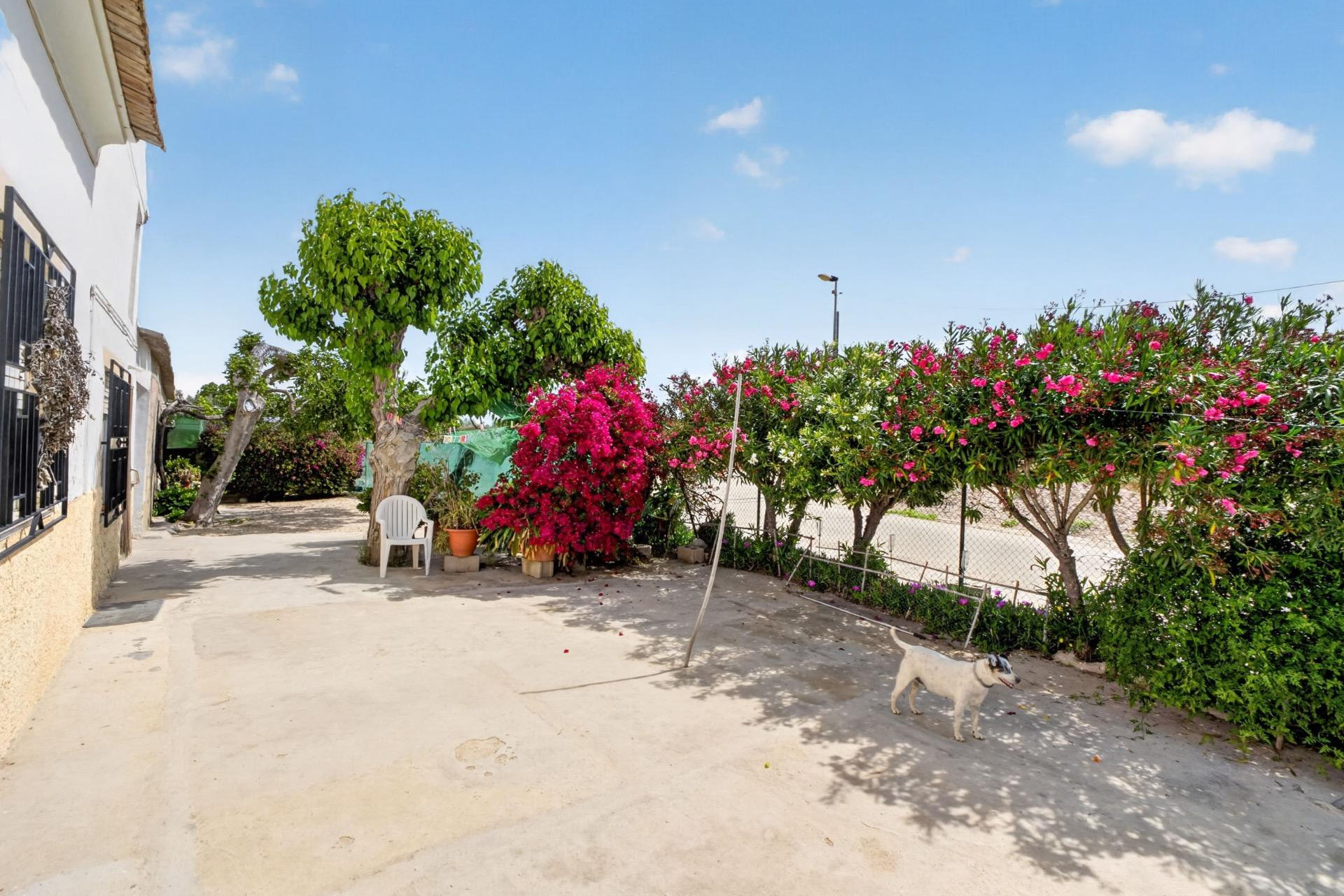 Herverkoop - Finca / Landelijke woning - Orihuela - Desamparados-Hurchillo-Torremendo