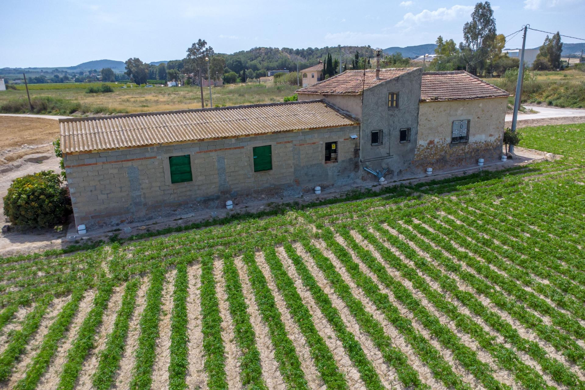 Herverkoop - Finca / Landelijke woning - Orihuela - Desamparados-Hurchillo-Torremendo
