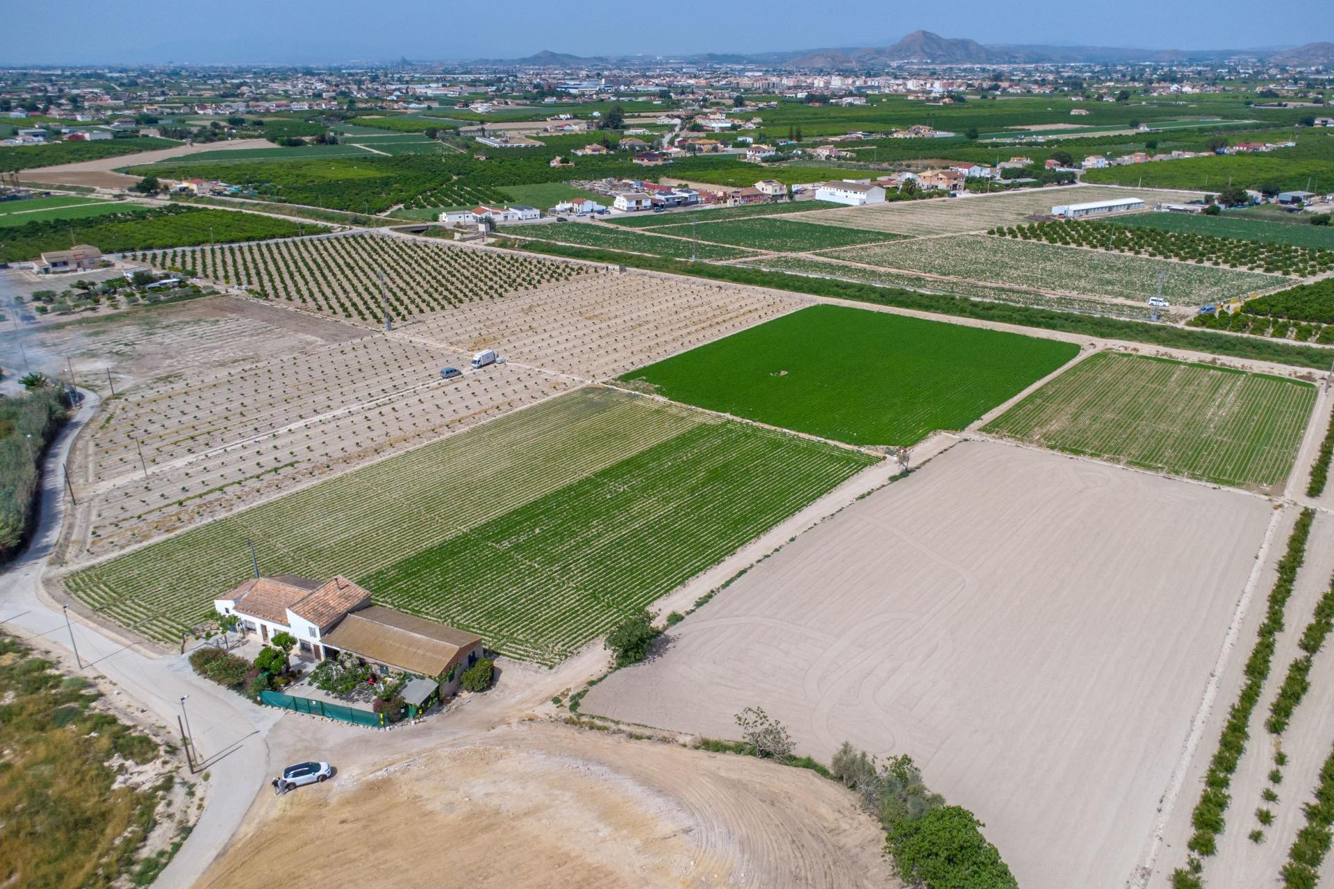 Herverkoop - Finca / Landelijke woning - Orihuela - Desamparados-Hurchillo-Torremendo