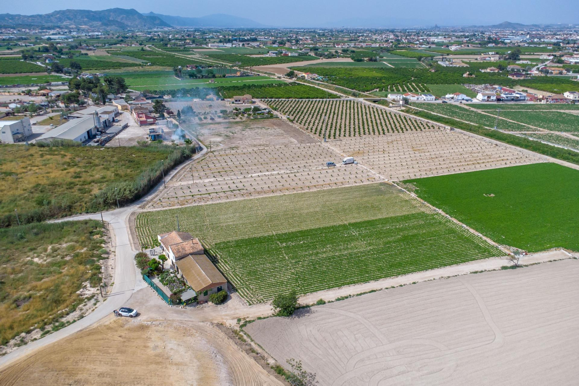 Herverkoop - Finca / Landelijke woning - Orihuela - Desamparados-Hurchillo-Torremendo