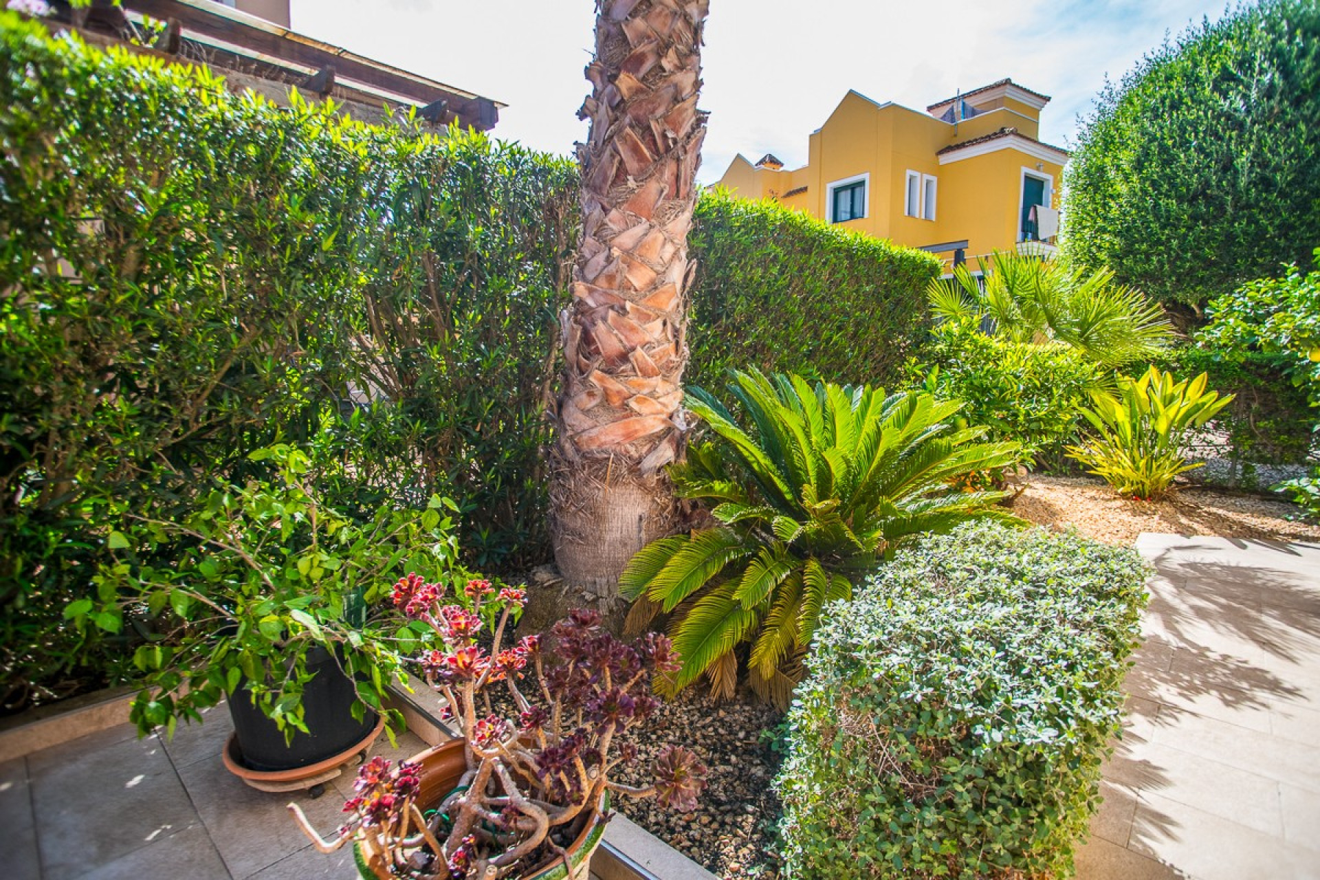 Herverkoop - Finca / Landelijke woning - Torrevieja - Los Balcones