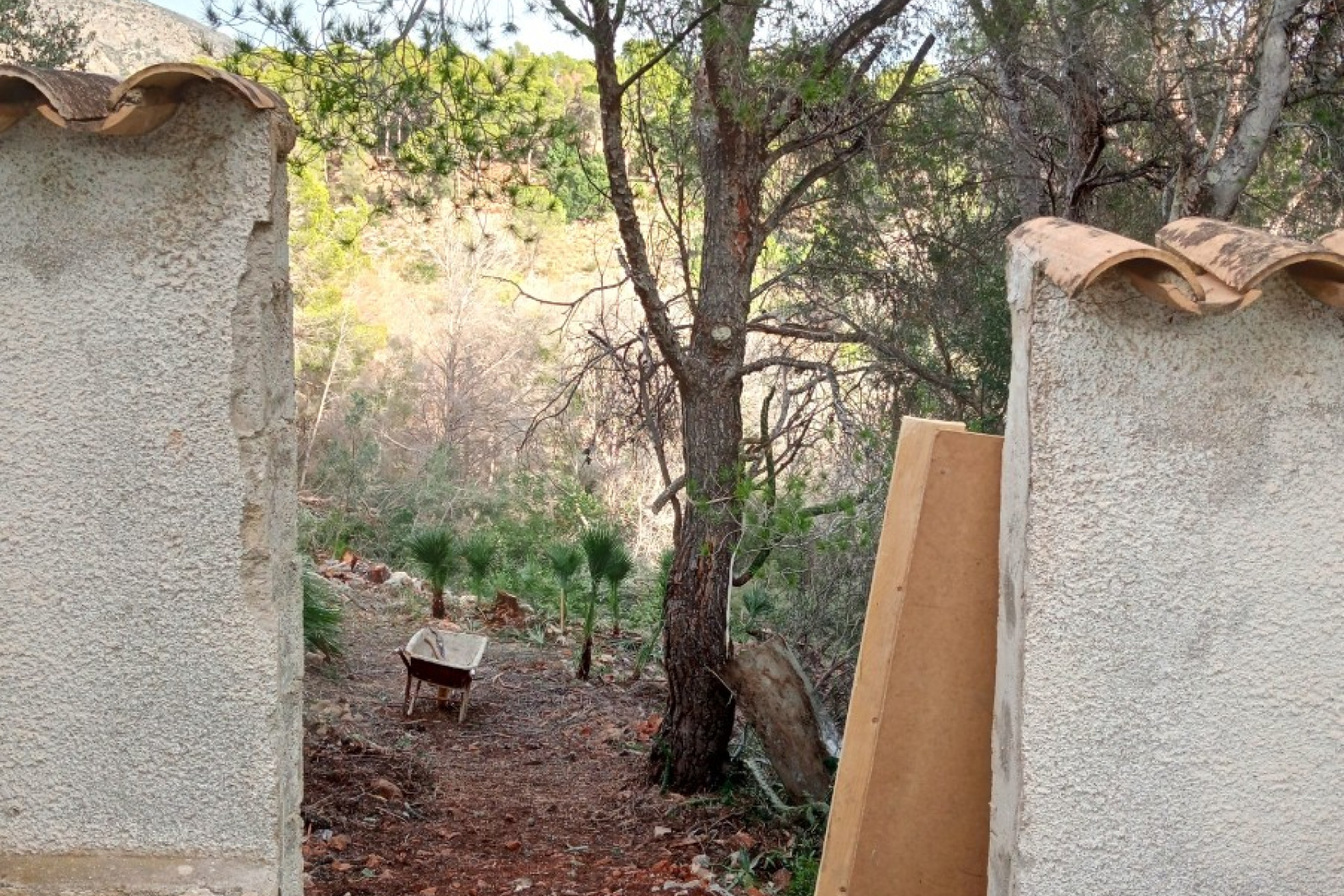 Herverkoop - Perceel / Grond - Altea