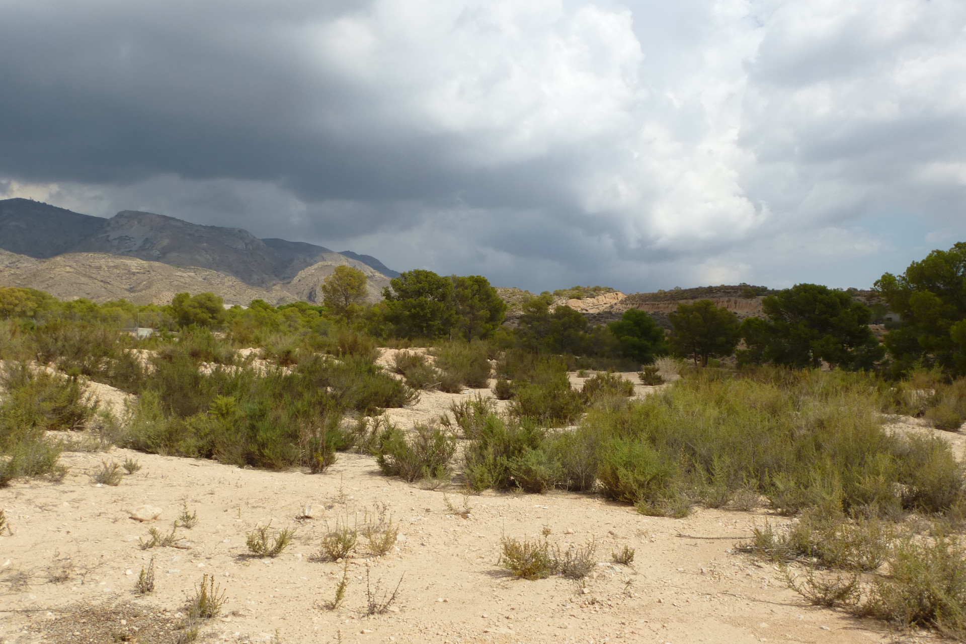 Herverkoop - Perceel / Grond - Crevillente - Crevillente - Country